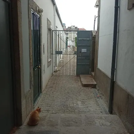 Luxury Studio With Amazing Terrace Apartament Porto